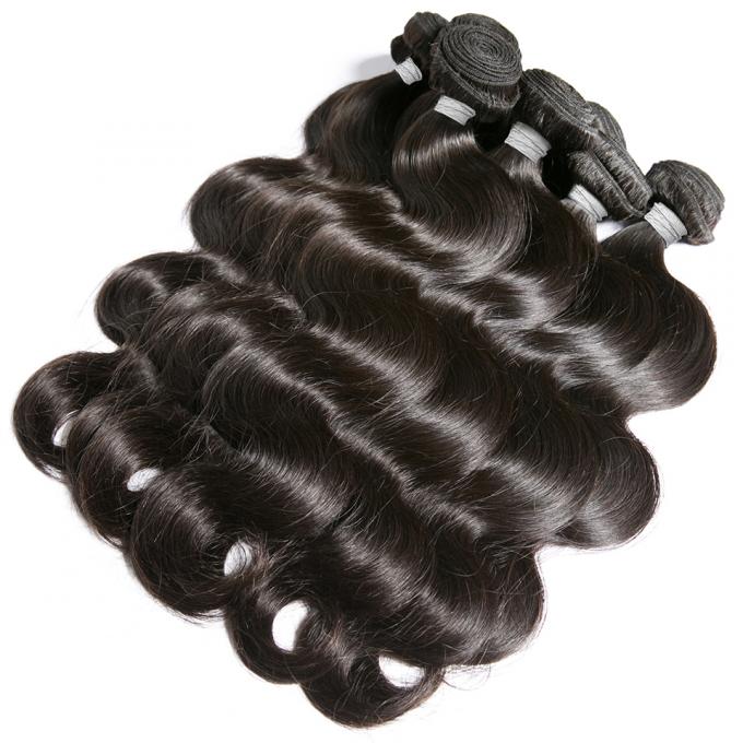 100% Pure 1B Black Color Brazilian Human Hair Bundles Wet And Wavy Hair Extensions